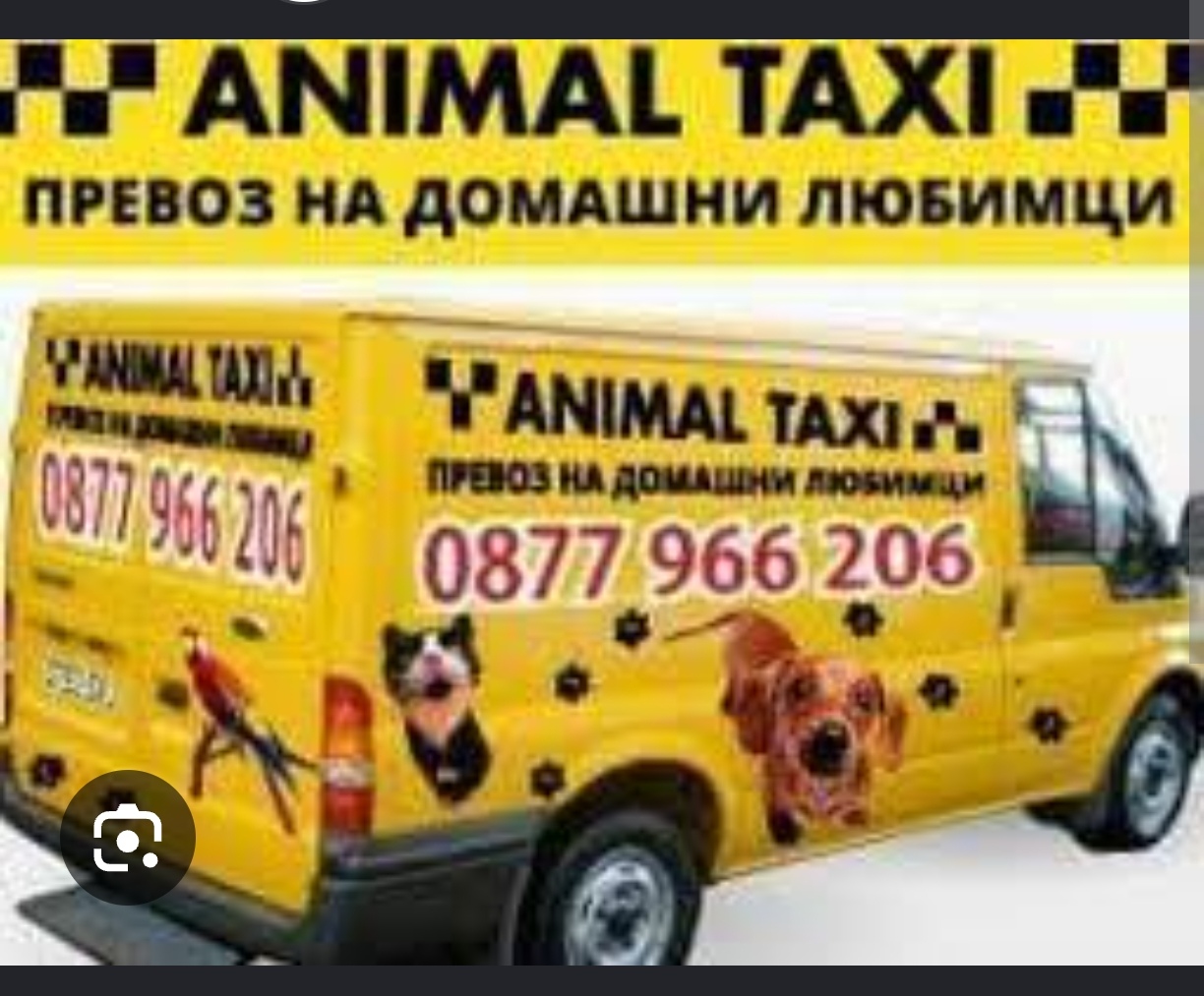 Animal Taxi
